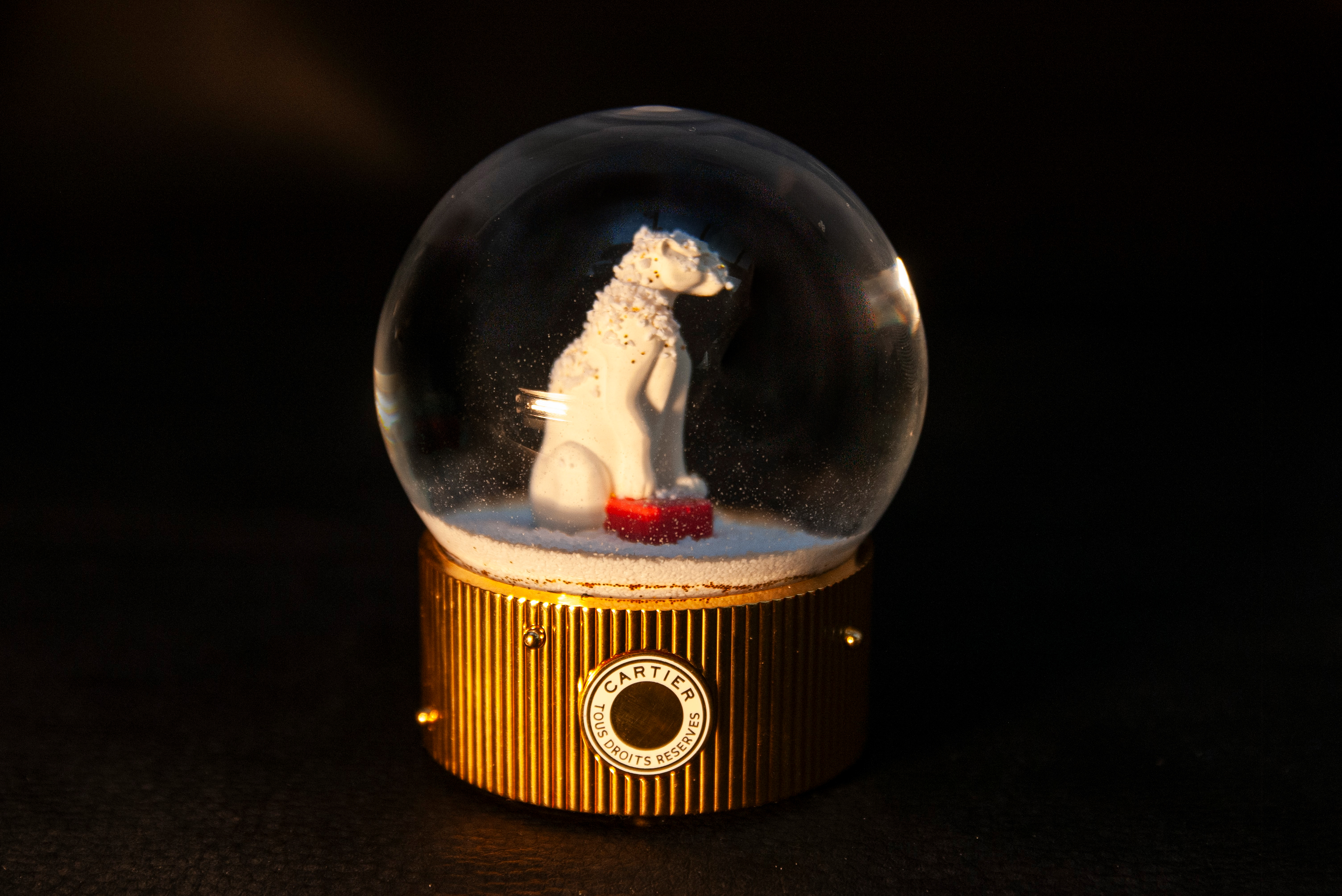 Image de Snowglob'art